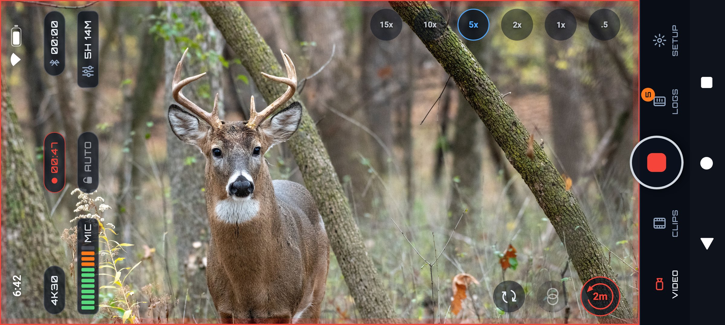 The PREYR Hunting camera filming a whitetail buck, full screen and wide